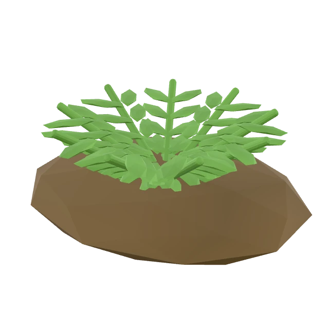 Woodland Fern Patch interactive 3D model